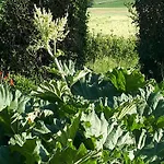 Moulin Renove Avec Jardin, Au Bord De L'eau, Entre Verdun Et Metz - Fr-1-585-1 Bonzee