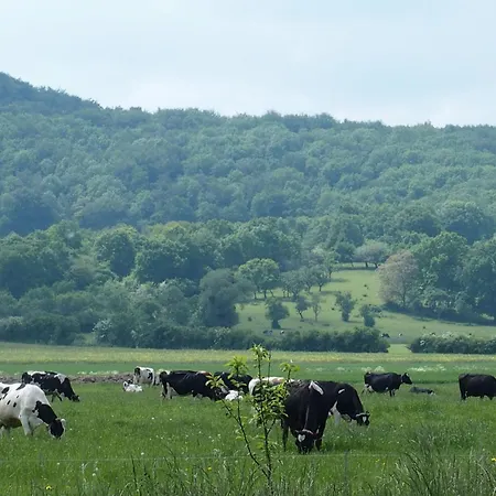 Moulin Renove Avec Jardin, Au Bord De L'eau, Entre Verdun Et Metz - Fr-1-585-1 Vakantiehuis *