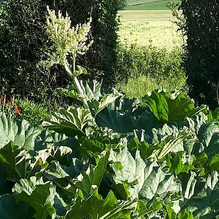 Moulin Renove Avec Jardin, Au Bord De L'eau, Entre Verdun Et Metz - Fr-1-585-1 Bonzee