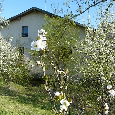 Holiday home Moulin Renove Avec Jardin, Au Bord De L'eau, Entre Verdun Et Metz - Fr-1-585-1 Bonzee