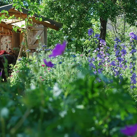 Сasa de vacaciones Bonzée, 5 Pièces, 8 Personnes - Fr-1-585-1 *