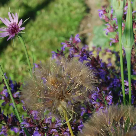 Bonzée, 5 Pièces, 8 Personnes - Fr-1-585-1 Bonzee