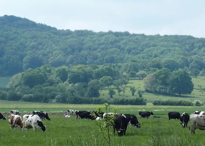 Moulin Renove Avec Jardin, Au Bord De L'eau, Entre Verdun Et Metz - Fr-1-585-1 Prázdninový dům *