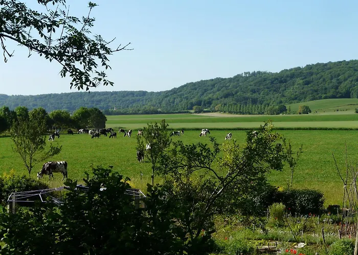 Moulin Renove Avec Jardin, Au Bord De L'eau, Entre Verdun Et Metz - Fr-1-585-1 Bonzee