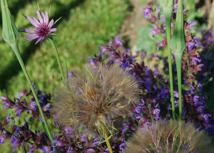 Moulin Renove Avec Jardin, Au Bord De L'eau, Entre Verdun Et Metz - Fr-1-585-1 Bonzee
